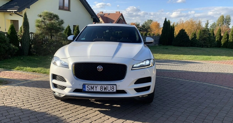 Jaguar F-Pace cena 115900 przebieg: 189000, rok produkcji 2017 z Prabuty małe 106